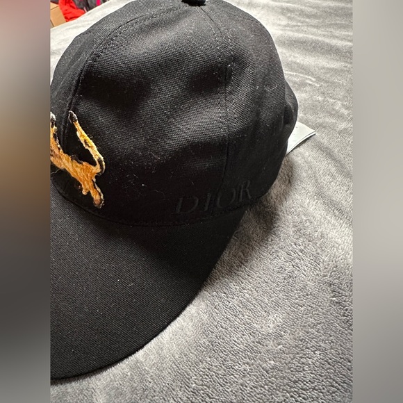 Dior x Peter Doig Baseball Cap Medium Hat Snap Dad GOAT - Picture 2 of 15